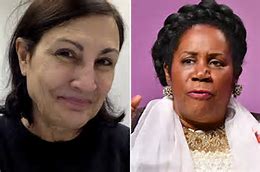 OOPS: Turns Out United Passenger Congresswoman Sheila Jackson Lee Accused Of Being Racist Is A Celebrated Human-Rights Activist